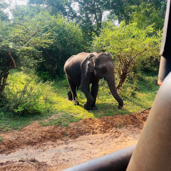 496093738_1087967150045183_3262726304379929204_n