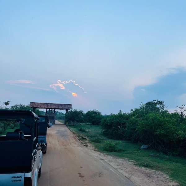 496094889_1087966953378536_5116045028607375448_n