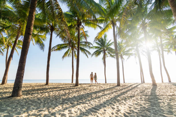 Palm trees on a sunny Sri Lankan beach