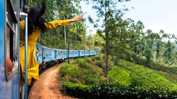 Iconic blue train traveling through tea plantations